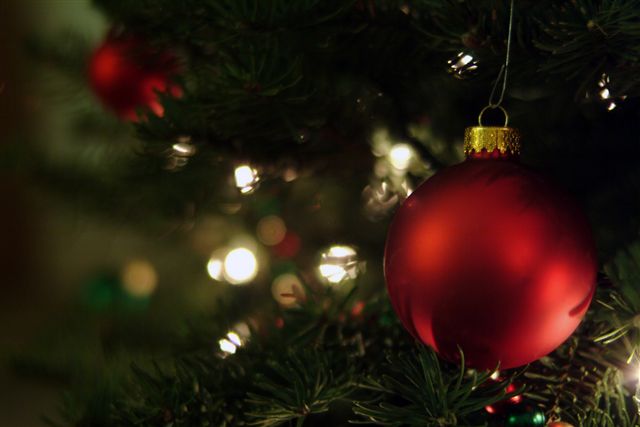 christmas tree